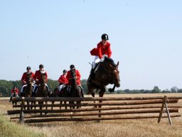 377272_10151090366478585_473406922_n